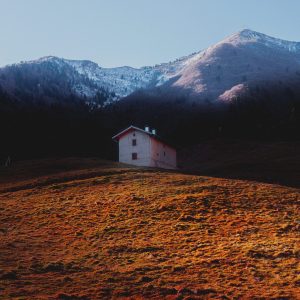 winter2 grain